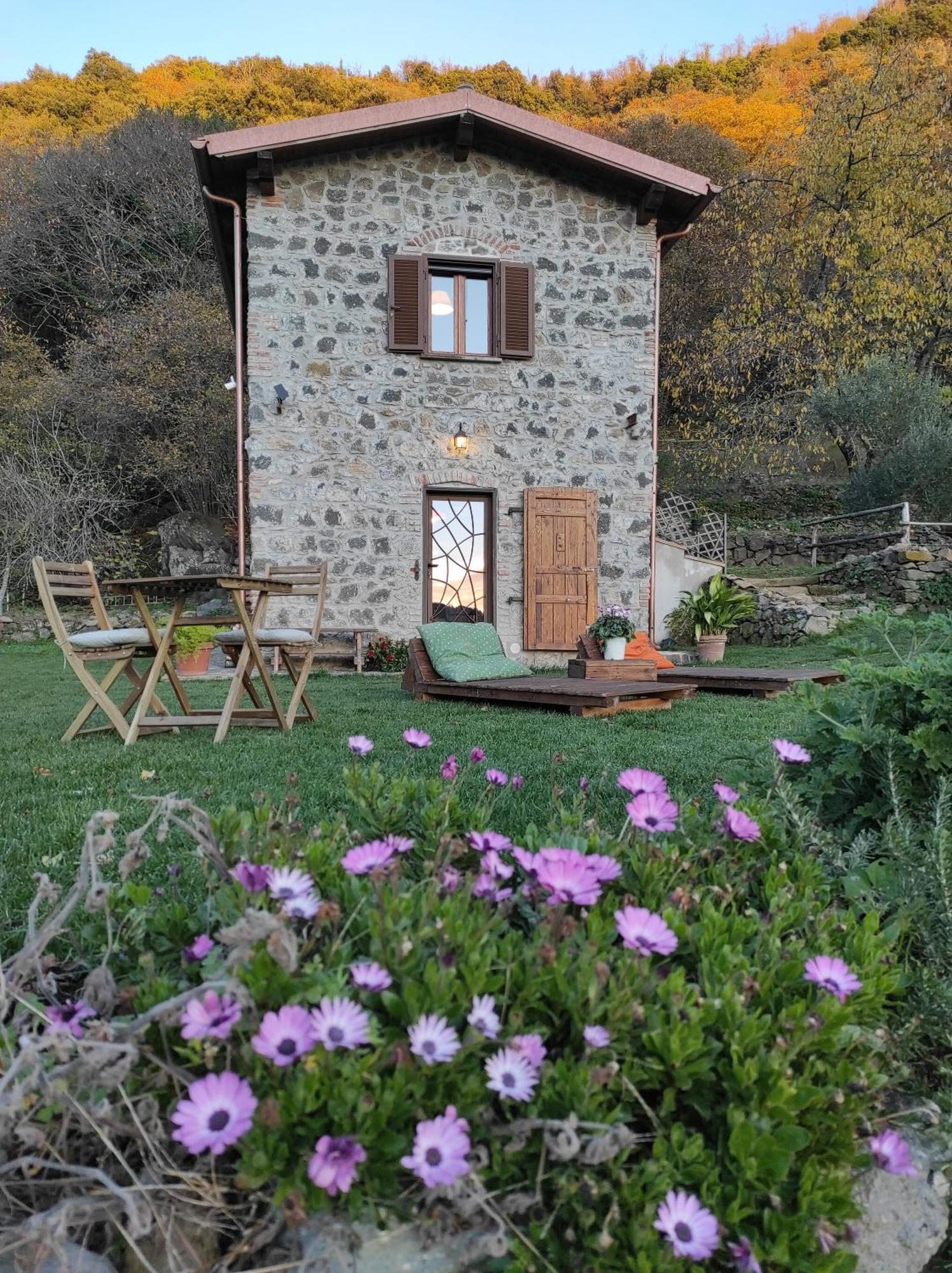 הוילה נמי Il Nemus Agriturismo מראה חיצוני תמונה